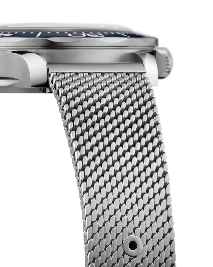 Seamaster Diver's Watch 300m 42mm