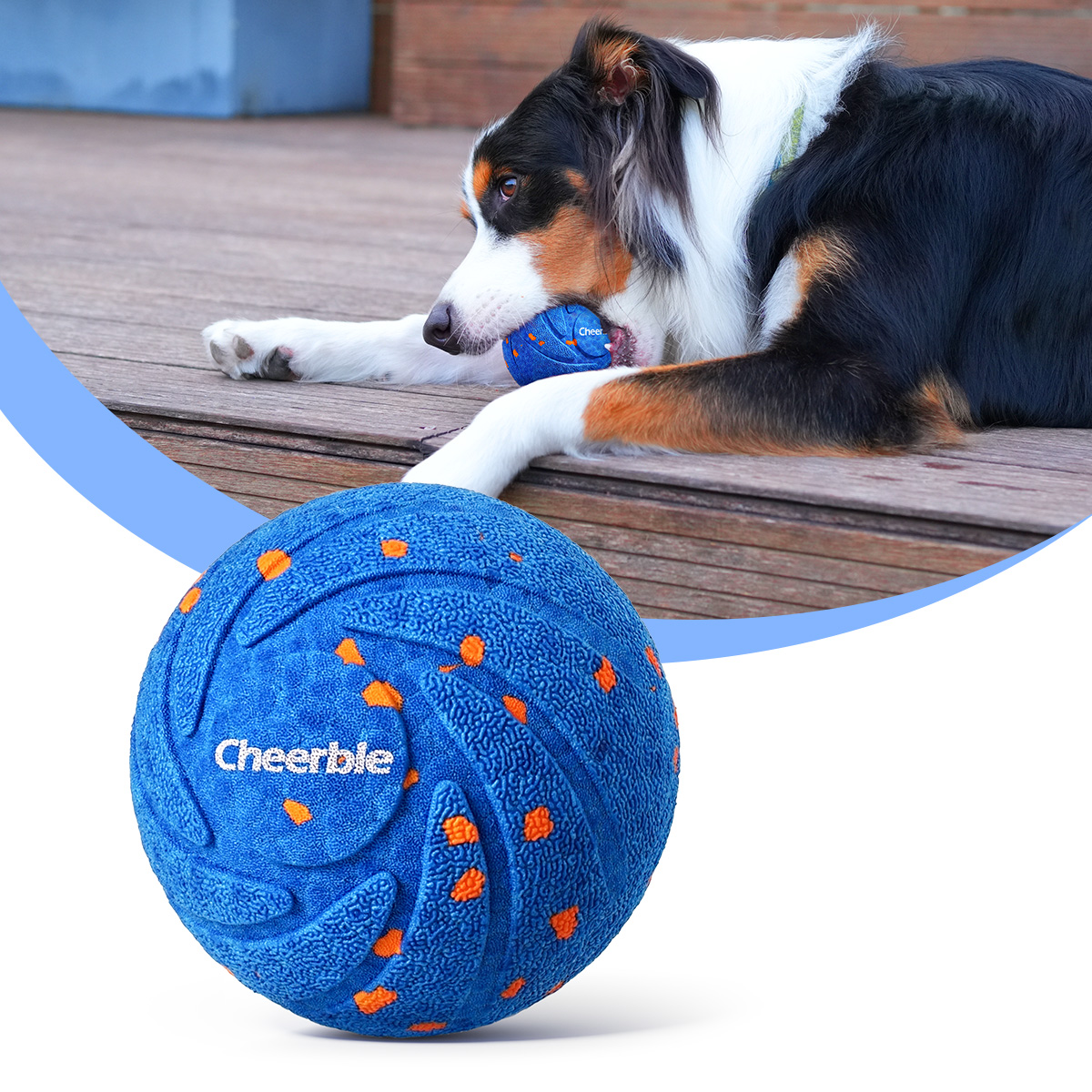 Dog toys