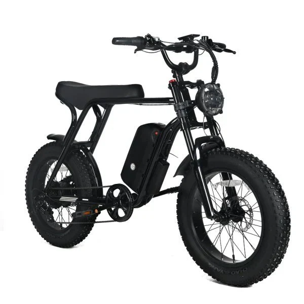 Electric Mountain Bike for Adults | 20 X 4.0 Fat Tires, 1000W Motor, 48V 20AH Removable Battery, Max Speed 45MPH, Shi Mano 7-SPEED for…