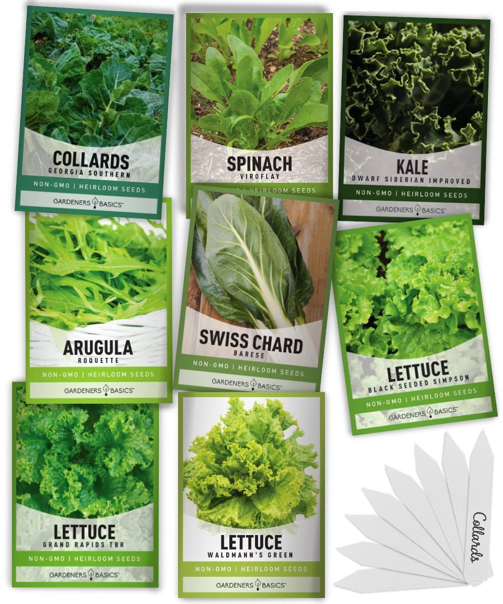 8 Leafy Garden Greens Seeds for Planting Individual Packets - Arugula, Collards, Spinach, Swiss Chard, Kale, Lettuce, Leafy and Butter Lettuce Seeds F