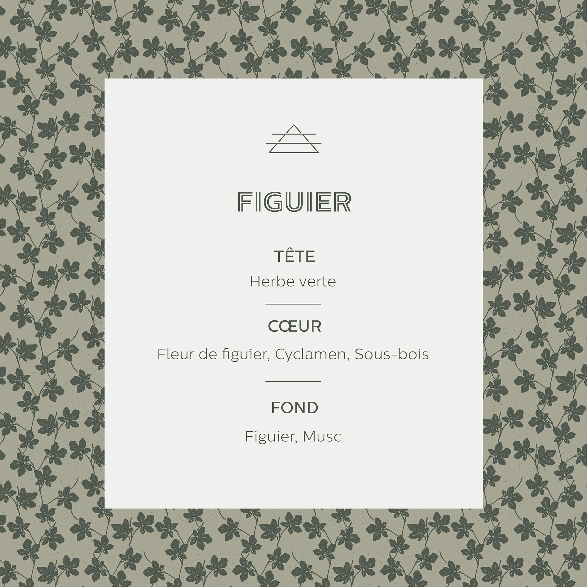 SIGNATURE - Bougie parfumée senteur Figuier 160g