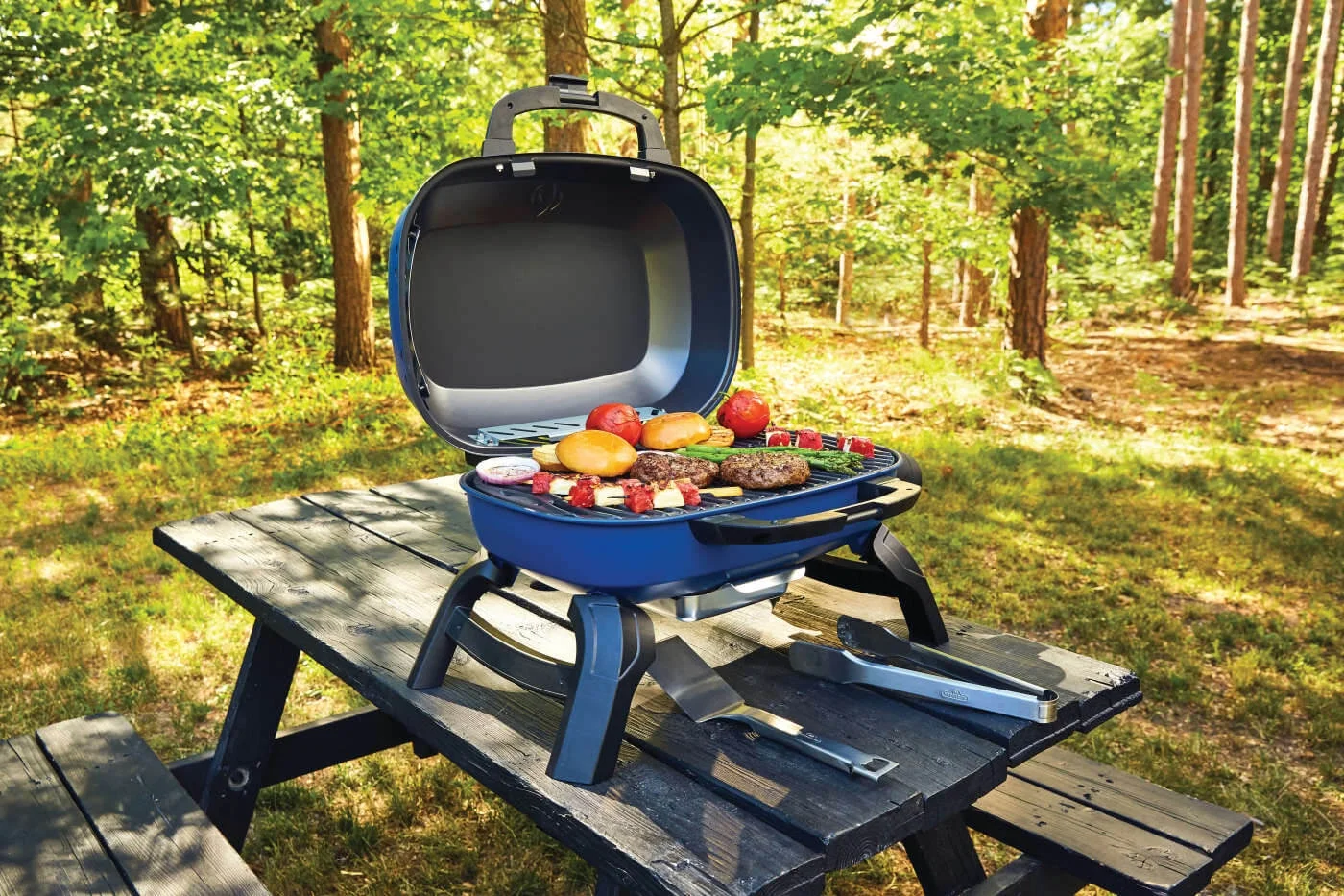 TravelQ 240 1-Burner Portable Propane Gas Grill in Blue(Blue) - Image 8