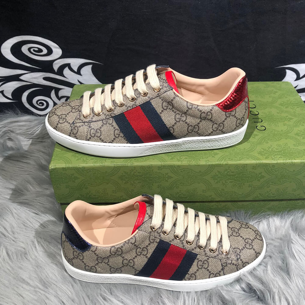 Ace GG Supreme sneaker with bees