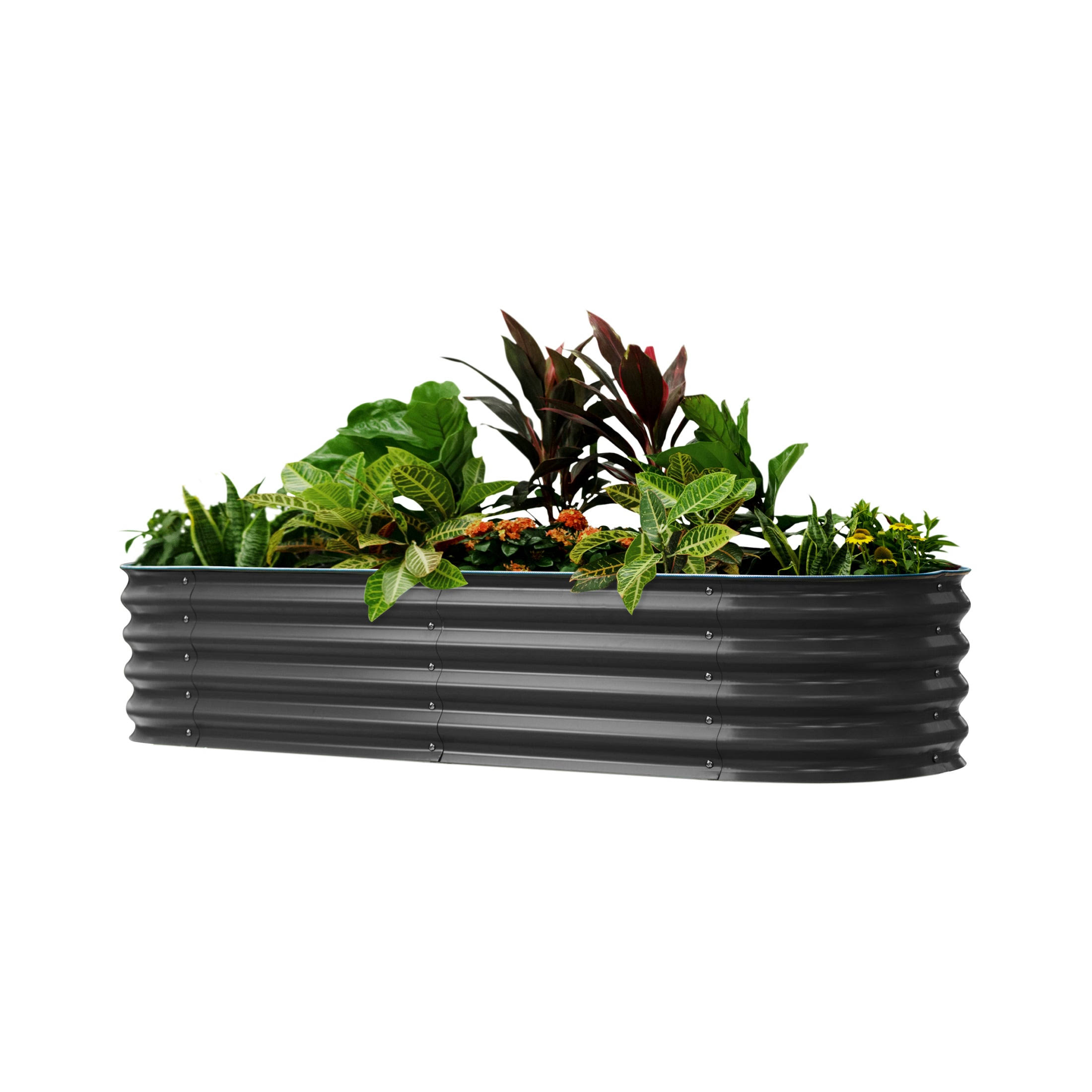 Self-Watering Garden Bed | Vego Garden, Modern Gray / 2 x 4 ft