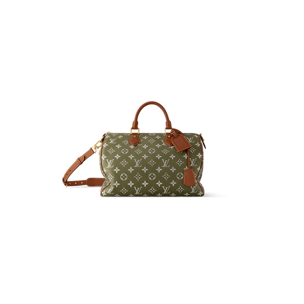 BAGSLOUIS VUITTON