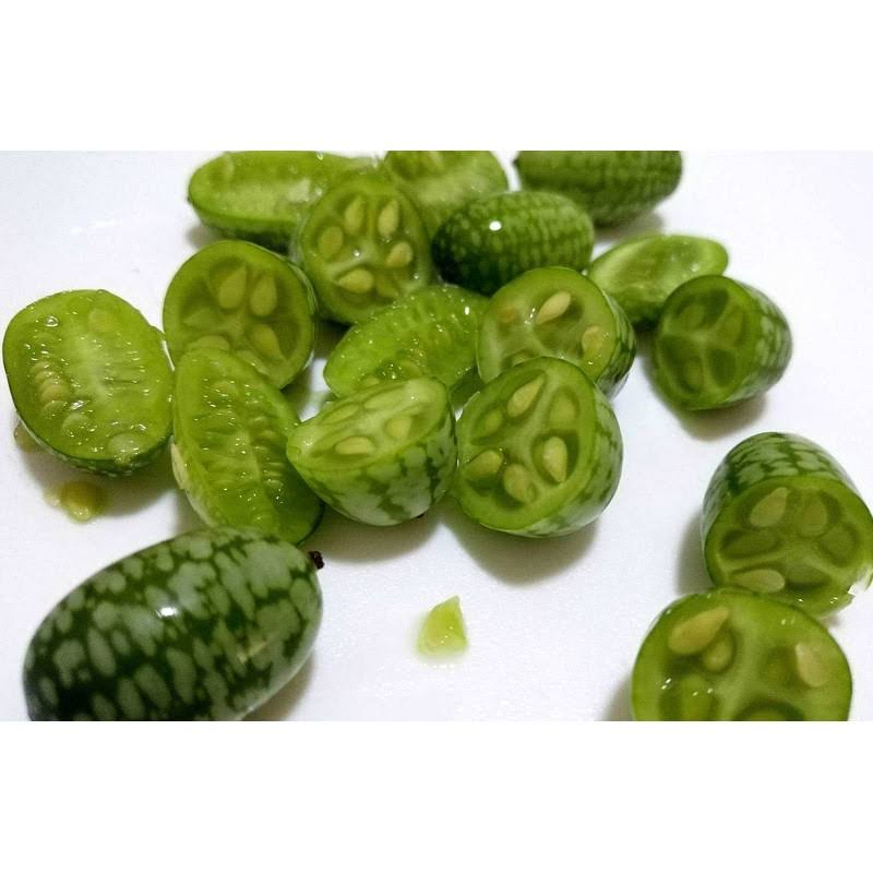 Opticase T-shin Mini Thumb Watermelon Fruit Vegetables Seeds 60+ Cucamelon Mexican Sour Gherkin Melothria SCobra for Home Garden Outdoor Yard Farm