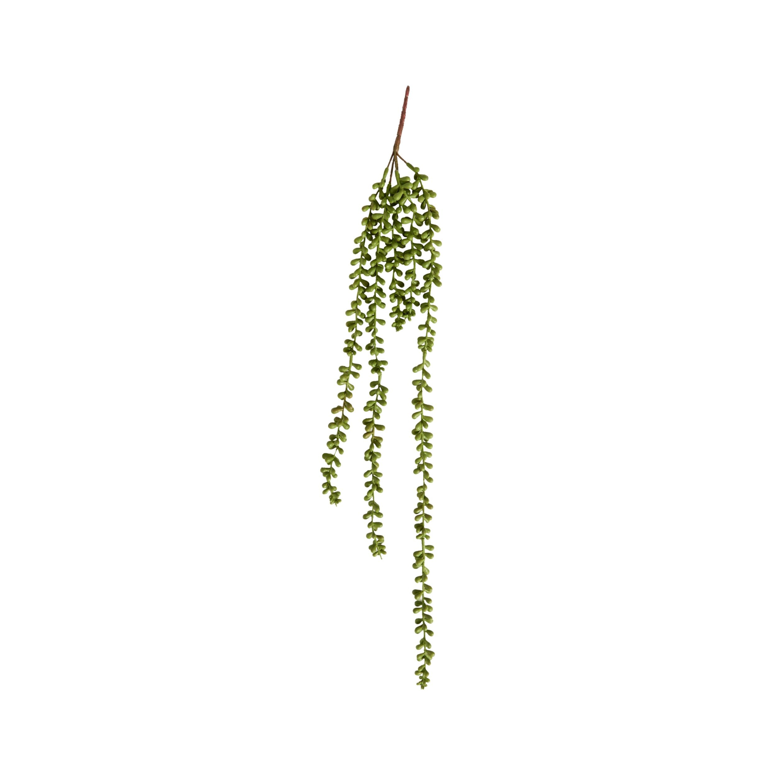 Bloomery Cascading Succulent Stem 71cm