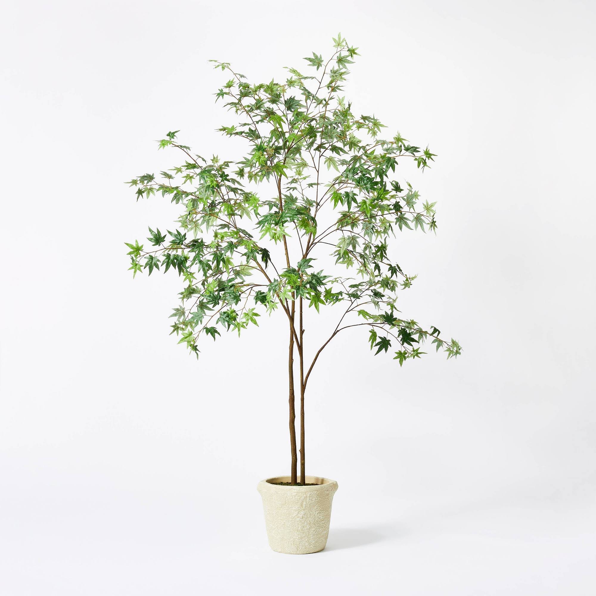 Maple Artificial Tree - Threshold Designed with Studio McGee