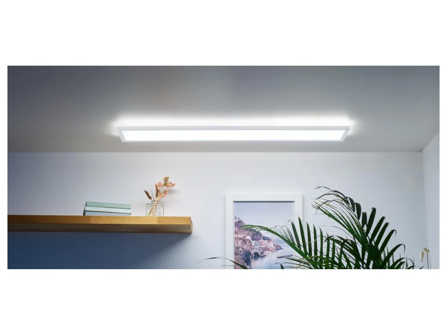 LIVARNO home Panneau LED avec variateur de blanc, 20,5 W