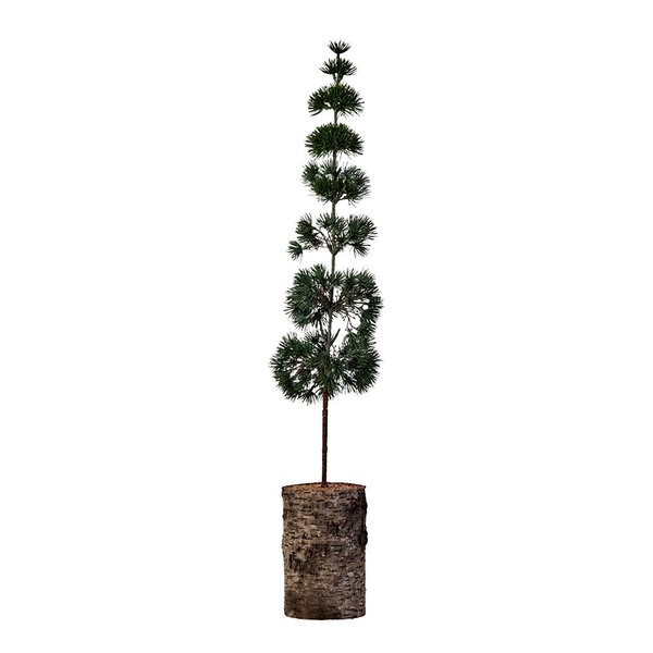 Pine juletre 15 cm grønn