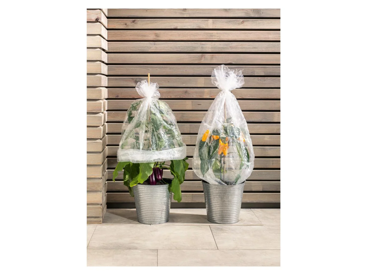 PARKSIDE Housses en film plastique pour arbustes