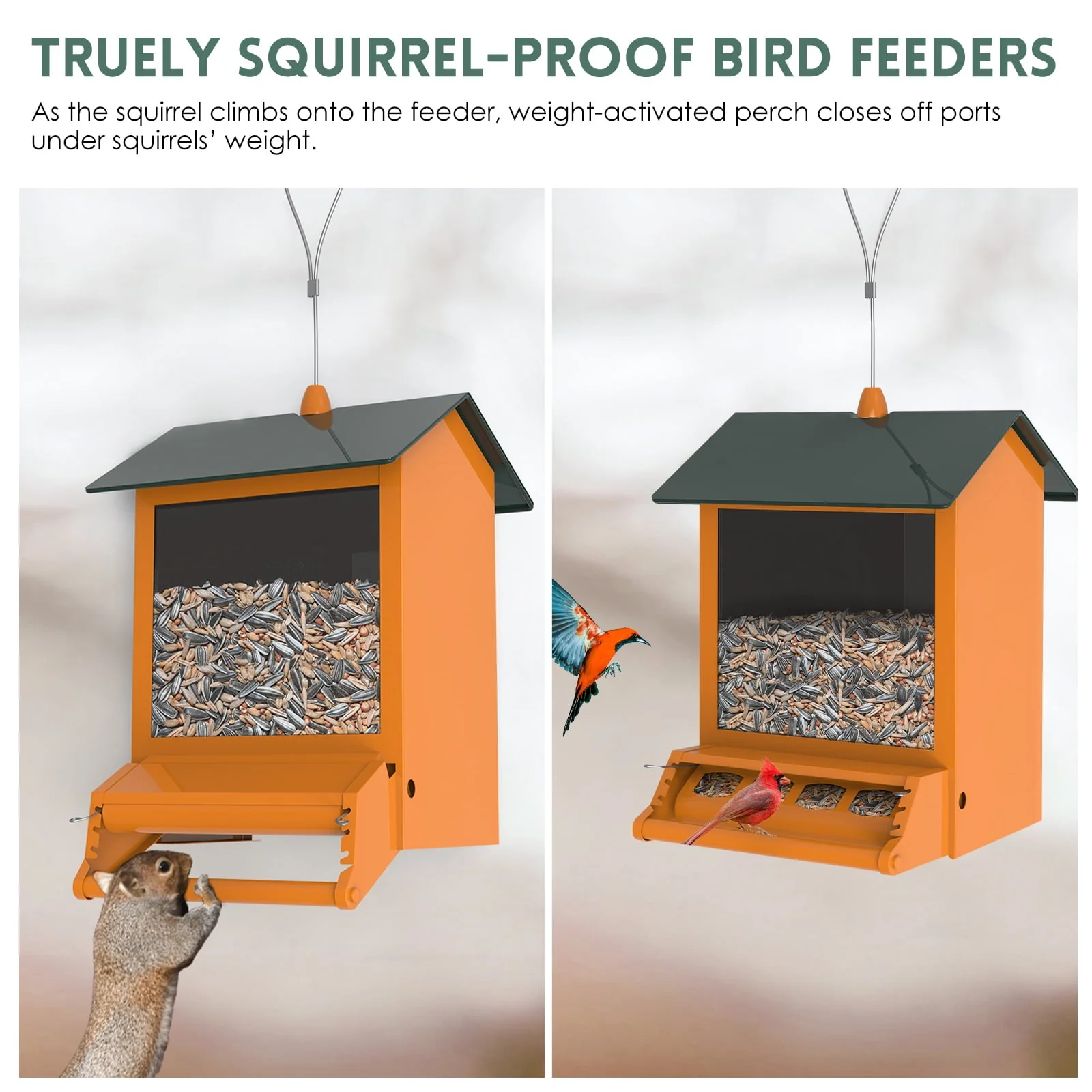 Digipettor 6 lb Squirrel - Proof Outdoor Wild Bird Feeder with Weight - Activated Perches, 4 Feeding Ports for Garden Yard Outside Decoration