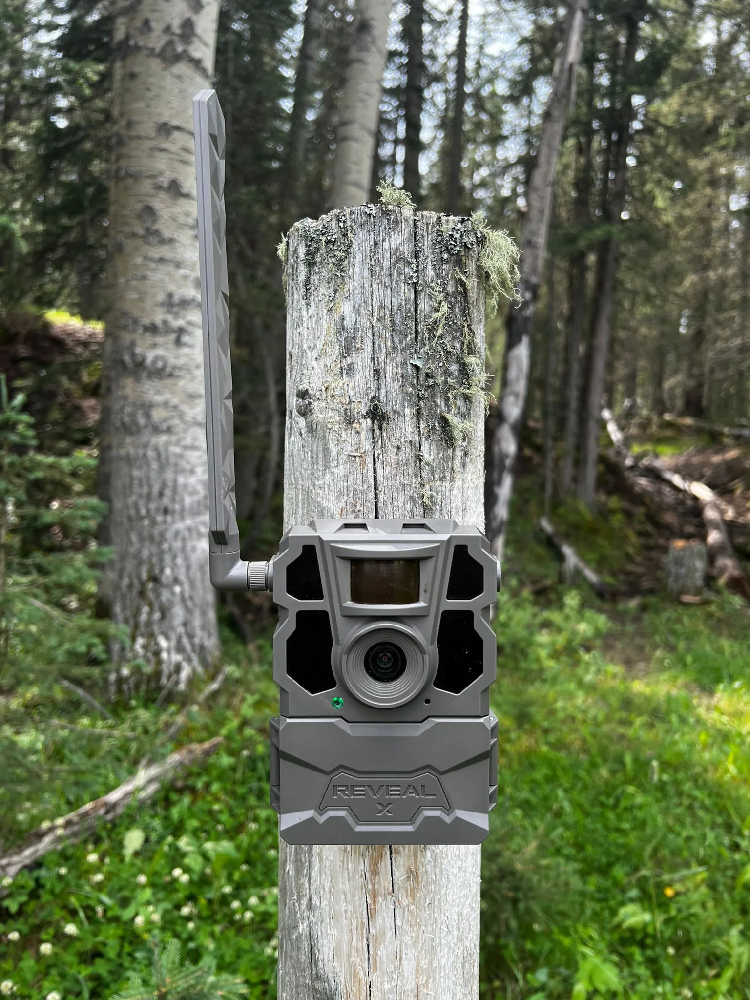 Reveal By X 2.0 Cellular Trail Camera 2-Pack - Image 6