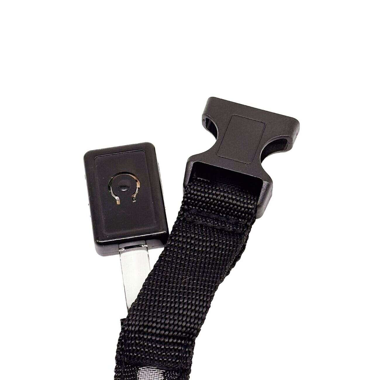 Collier LED pour chien vert L37-46cm - Taille M