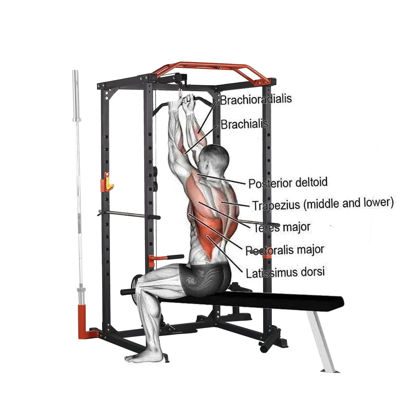 Best Multifunctional Barbell Rack 1400 lb Capacity Barbell Weight Rack Home Gym Fitness Adjustable Squat Rack Weight Lifting Bench Press Push - Ups