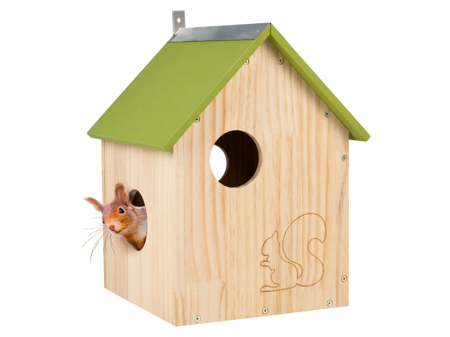 zoofari Gte  hrisson, gte  cureuil ou gte  chauve-souris