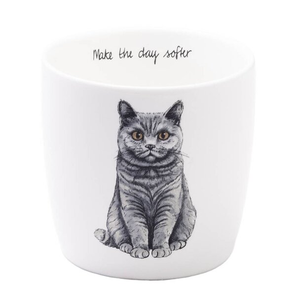 Moments of calm krus 30 cl katt