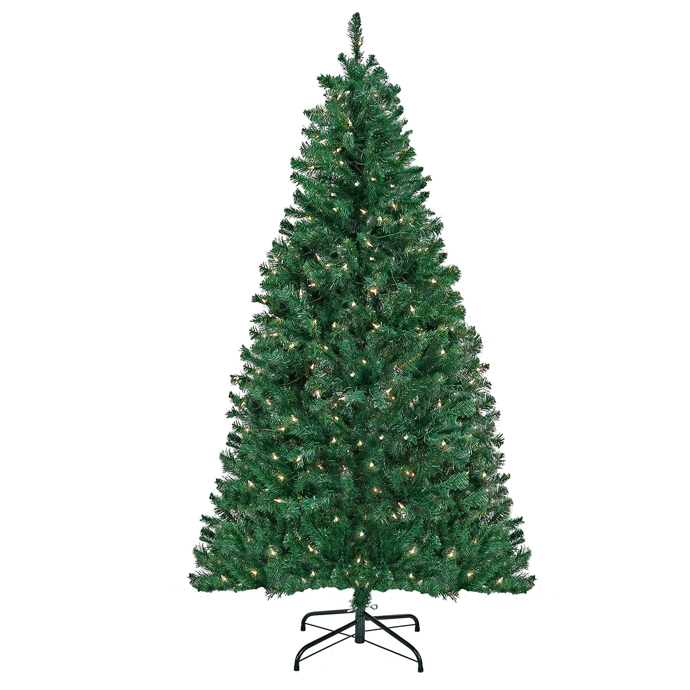 National Tree Company 6 ft. Acacia Tree with Clear Lights