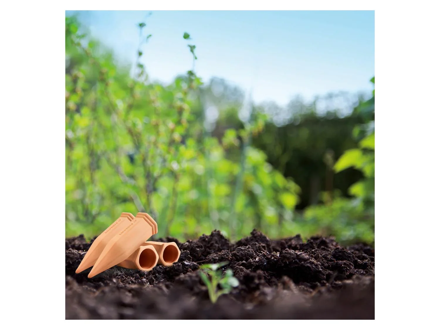 PARKSIDE Cnes ou Oya darrosage pour plantes