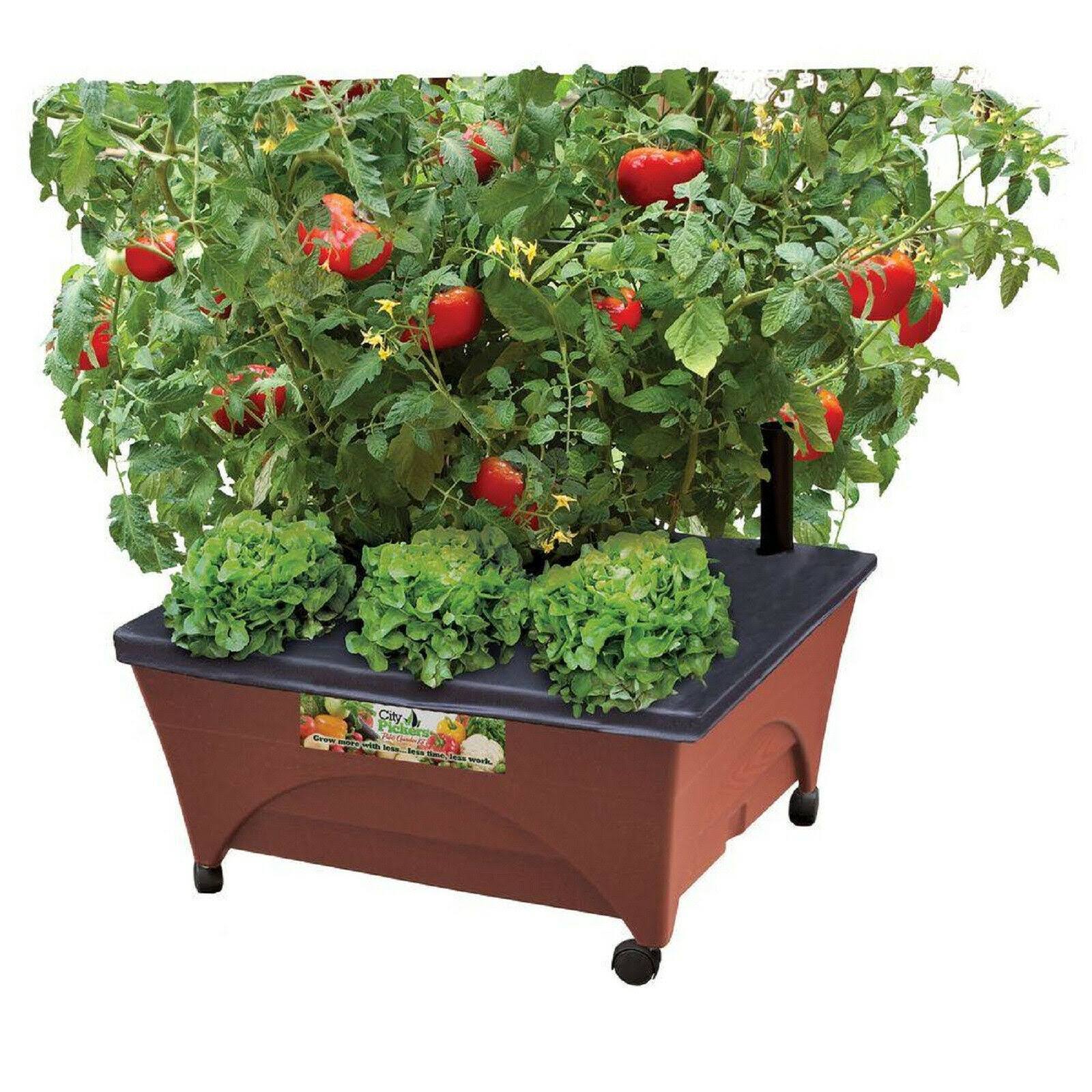 City Pickers Patio Raised Garden Bed Grow Box Kit Watering System Casters