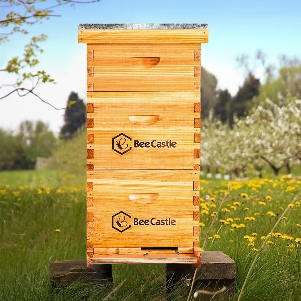 Bee Castle 10 - Frame Beeswaxed Complete Bee Hives Kit with 2 Deep Box and 1 Medium Box