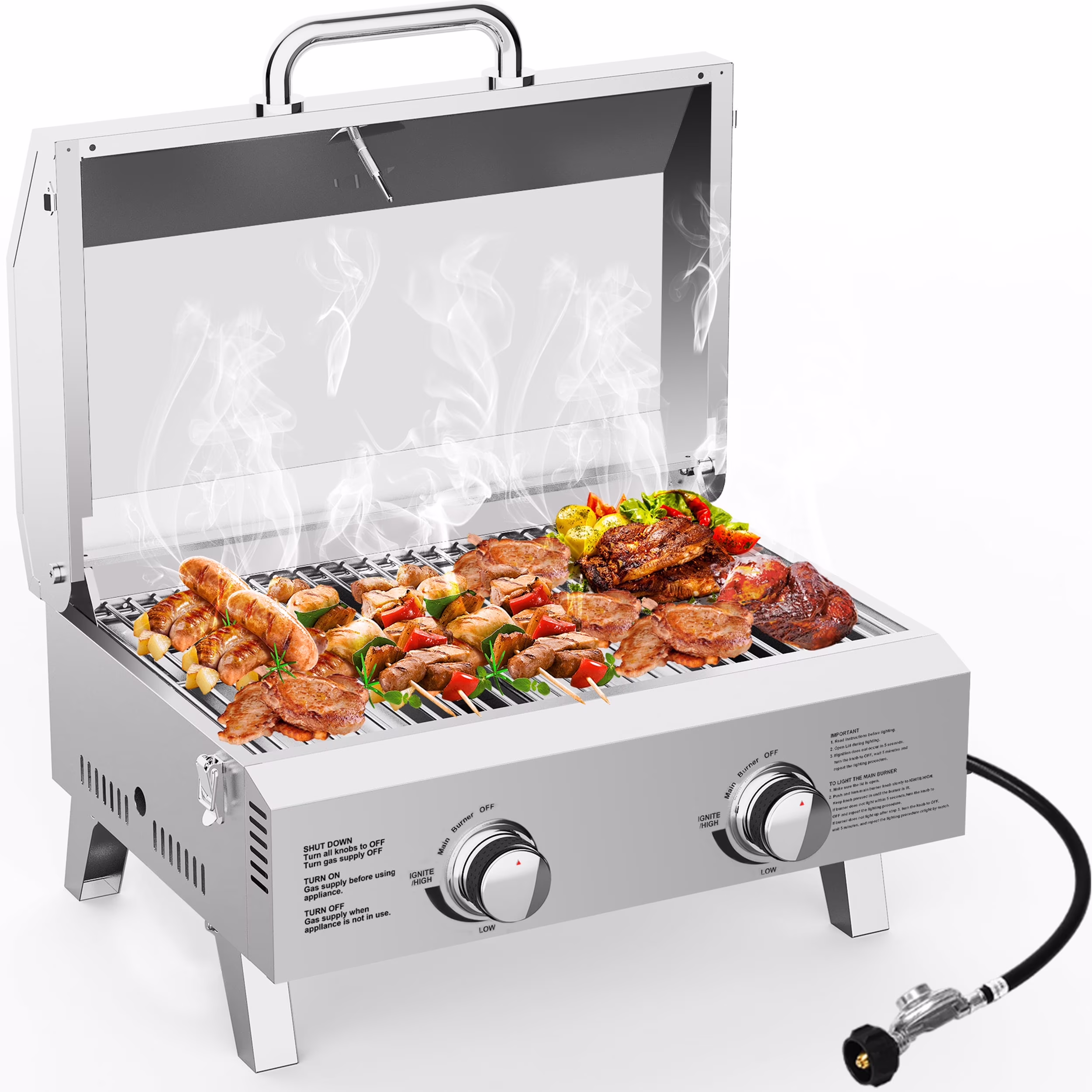 Propane Gas Grills, 30,000BTU Portable Gas Grill for Outdoor Camping BBQ Picnics Tailgating, 2 Burners, Stainless Steel Sliver(Sliver)