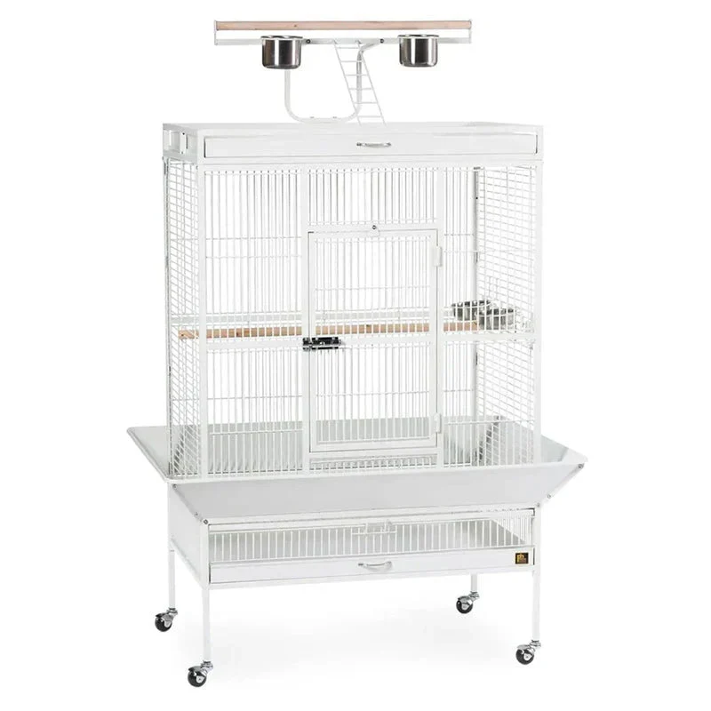 Wrought Iron Select Bird Cage 3154C, Chalk White, 36-Inch by 24-Inch by 66-Inch