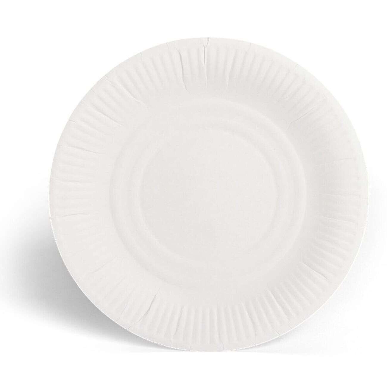 Lot de 100 assiettes en carton blanc Ø23 cm