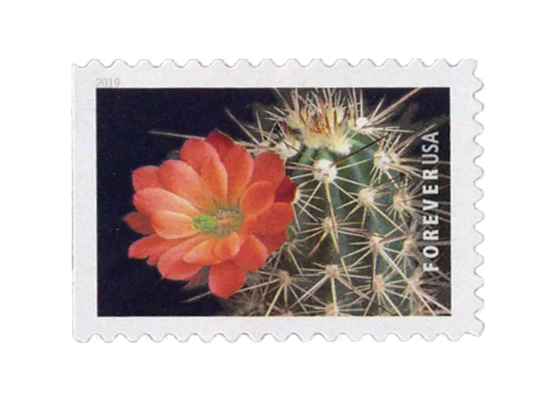 Forever Stamps 2019 Cactus Flowers – Nature Series. First-Class Postage