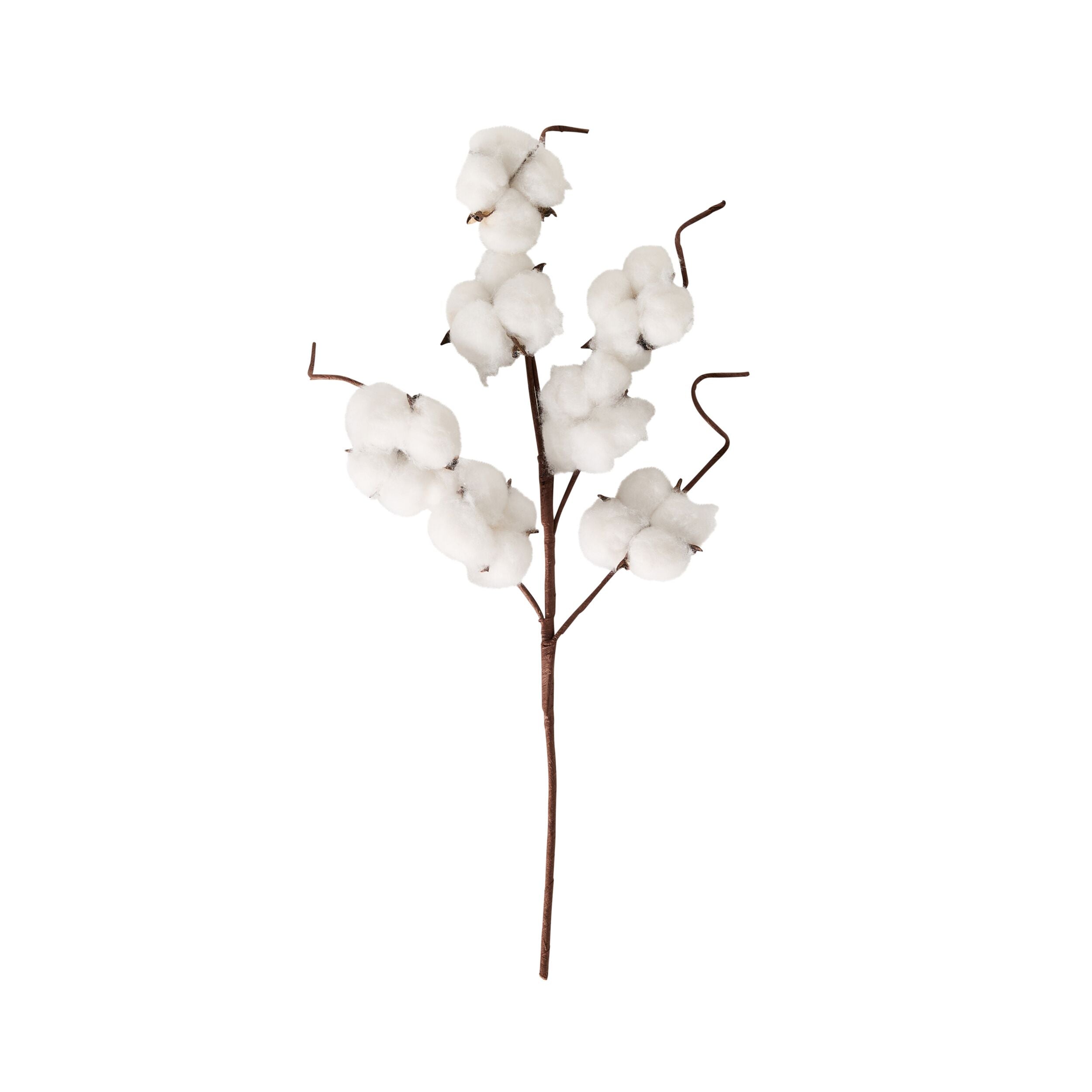 Bloomery Cotton Stem 43cm