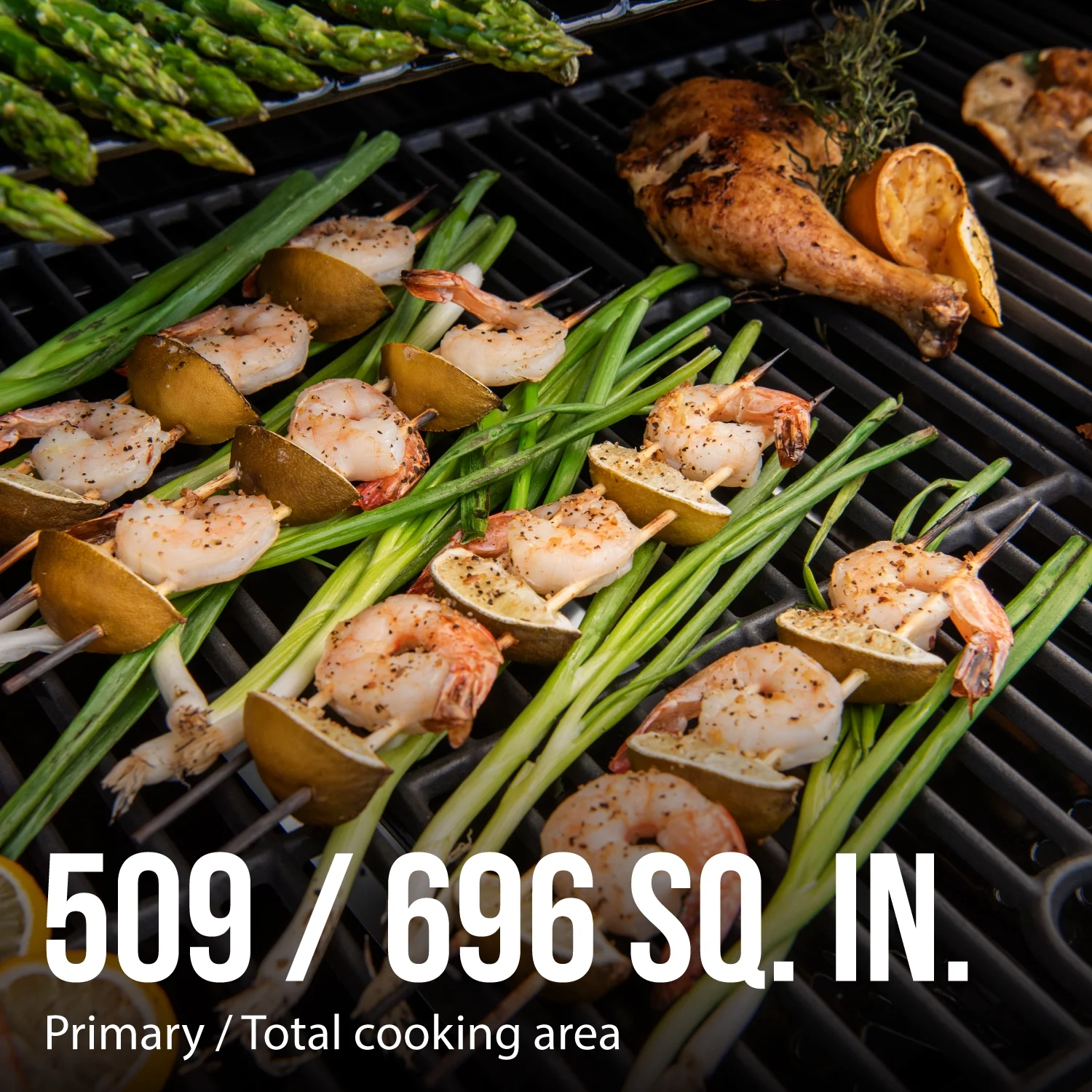 Expert Grill 5 Burner Propane Gas Grill with Side Burner