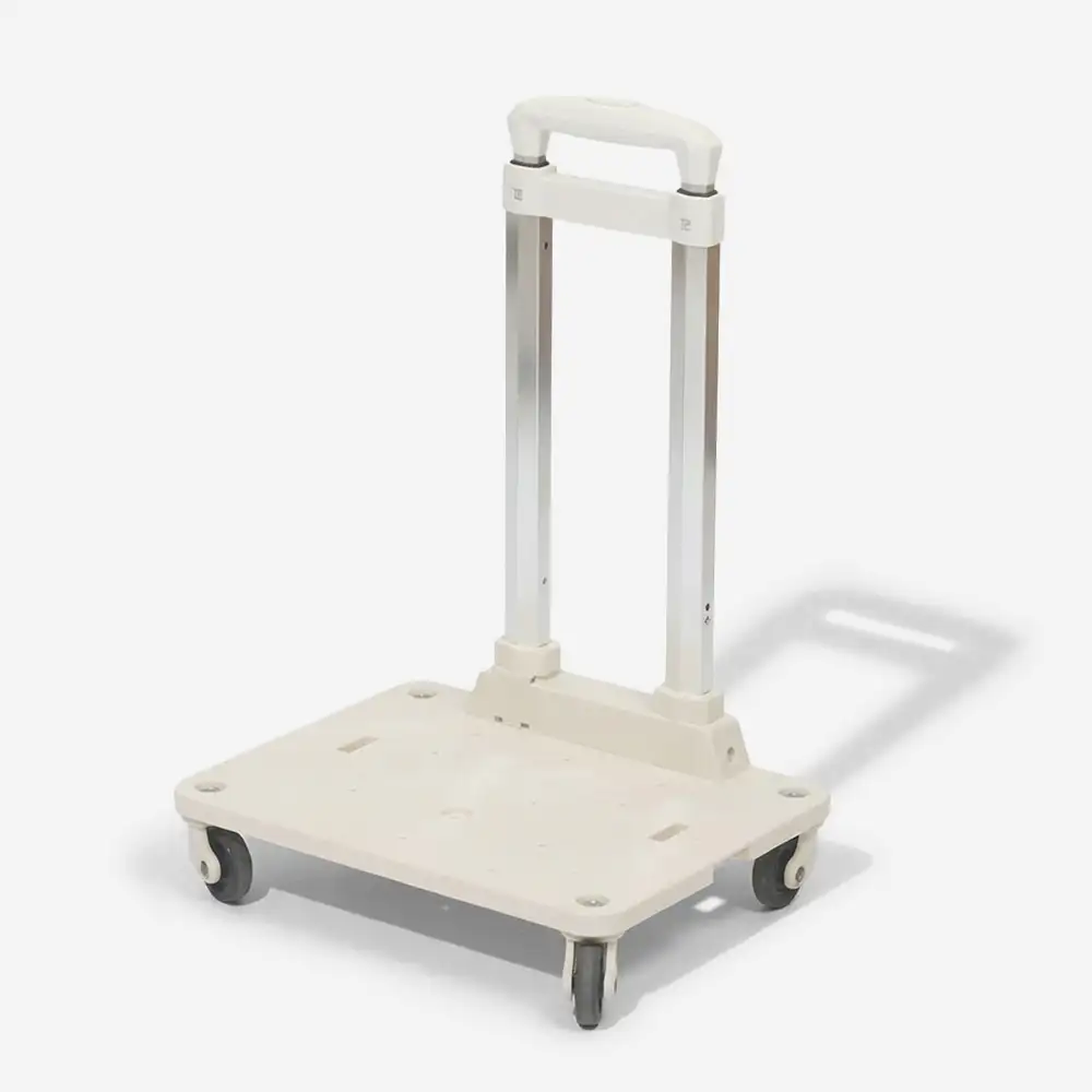 Travel Carrier Double-Layer Foldable Cat Bag with Detachable Trolley