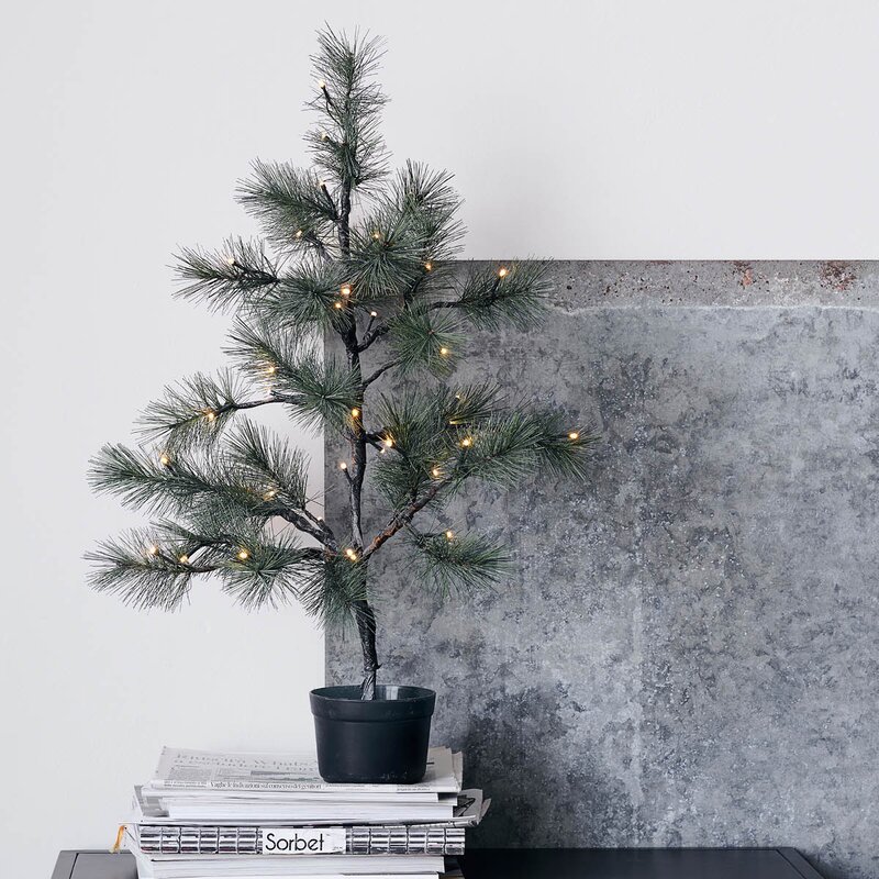 Peuce juletre 75 cm natur