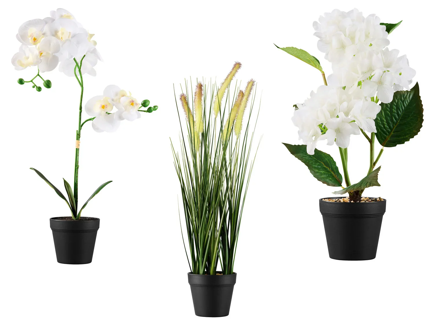 LIVARNO home Plante artificielle
