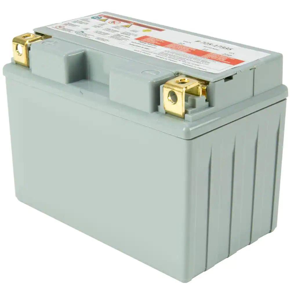 Cub Cadet 12-Volt Absorbent Glass Mat (AGM) Battery - 210 CCA