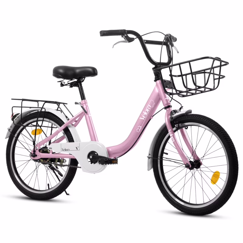 20 Inch Mountain Bicycle with Coaster Brake & V-Brake, 1-Speed, Chain Guard & Rear Rack, Lightweight Steel Frame (Pink, Green, Purple, White)