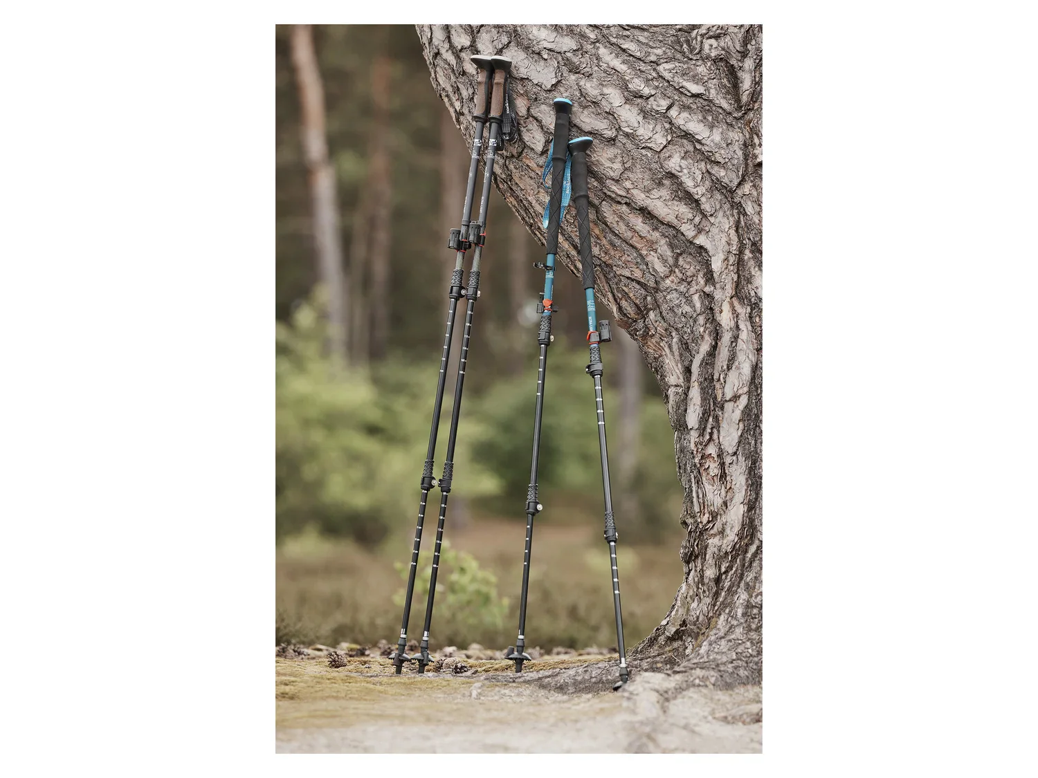 Rocktrail Btons de randonne en aluminium
