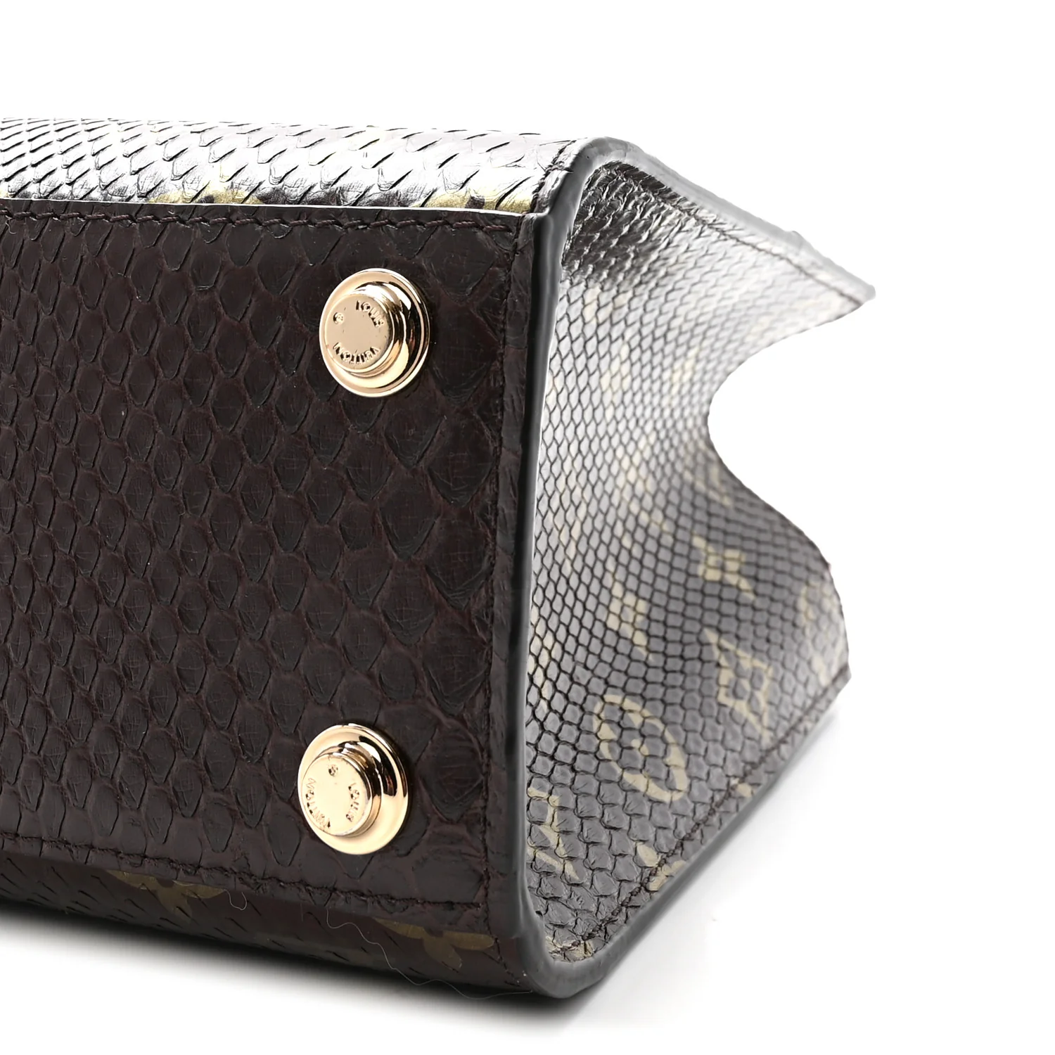 Snakeskin Monogram City Steamer Mini Brown