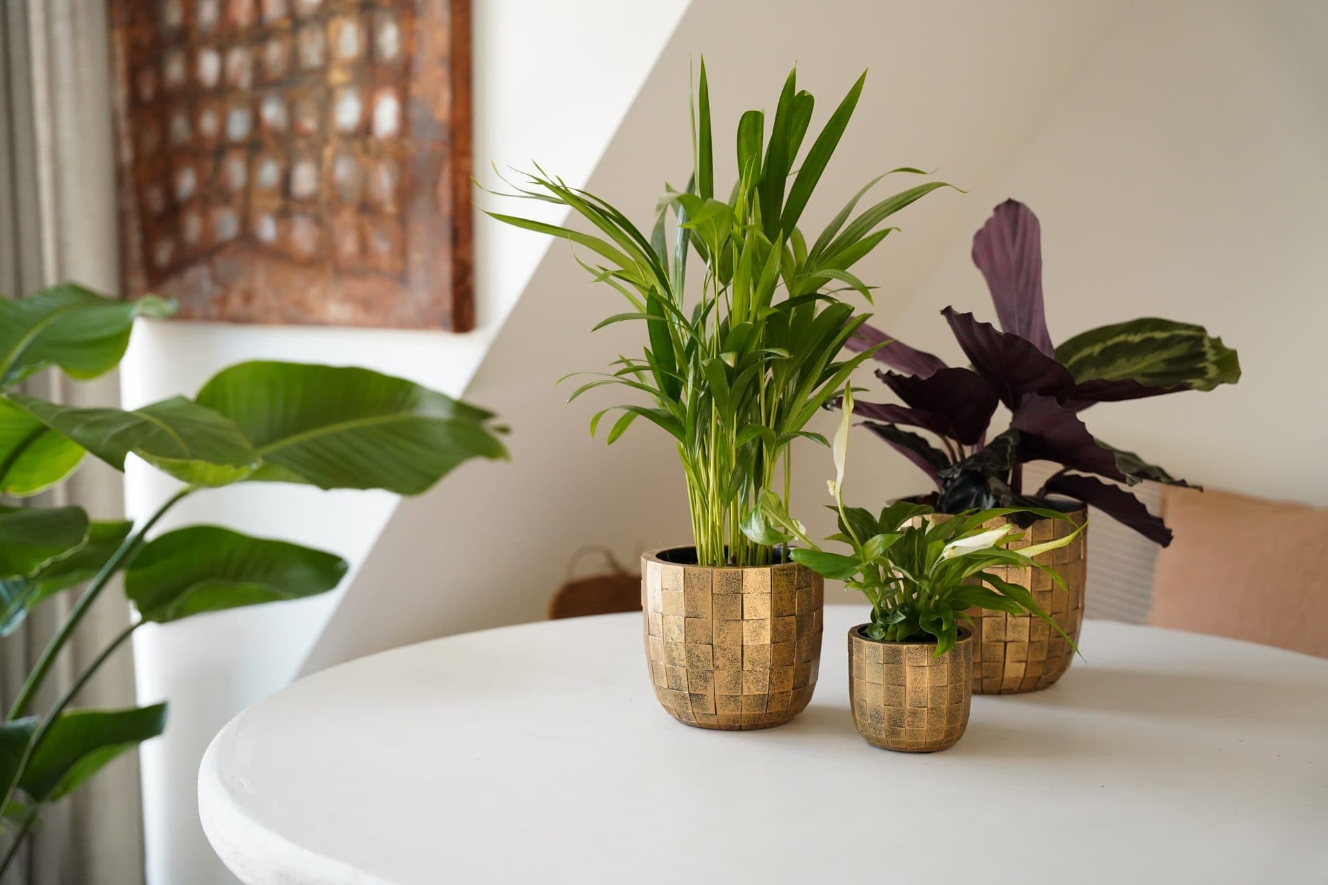 Capi Europe - Pot bol Blocks - 9x8 - Zwart