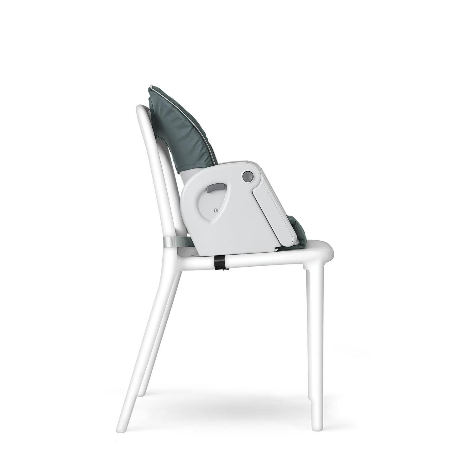 Chicco Polly Progress 5 - in - 1 Highchair - Minerale (Black)