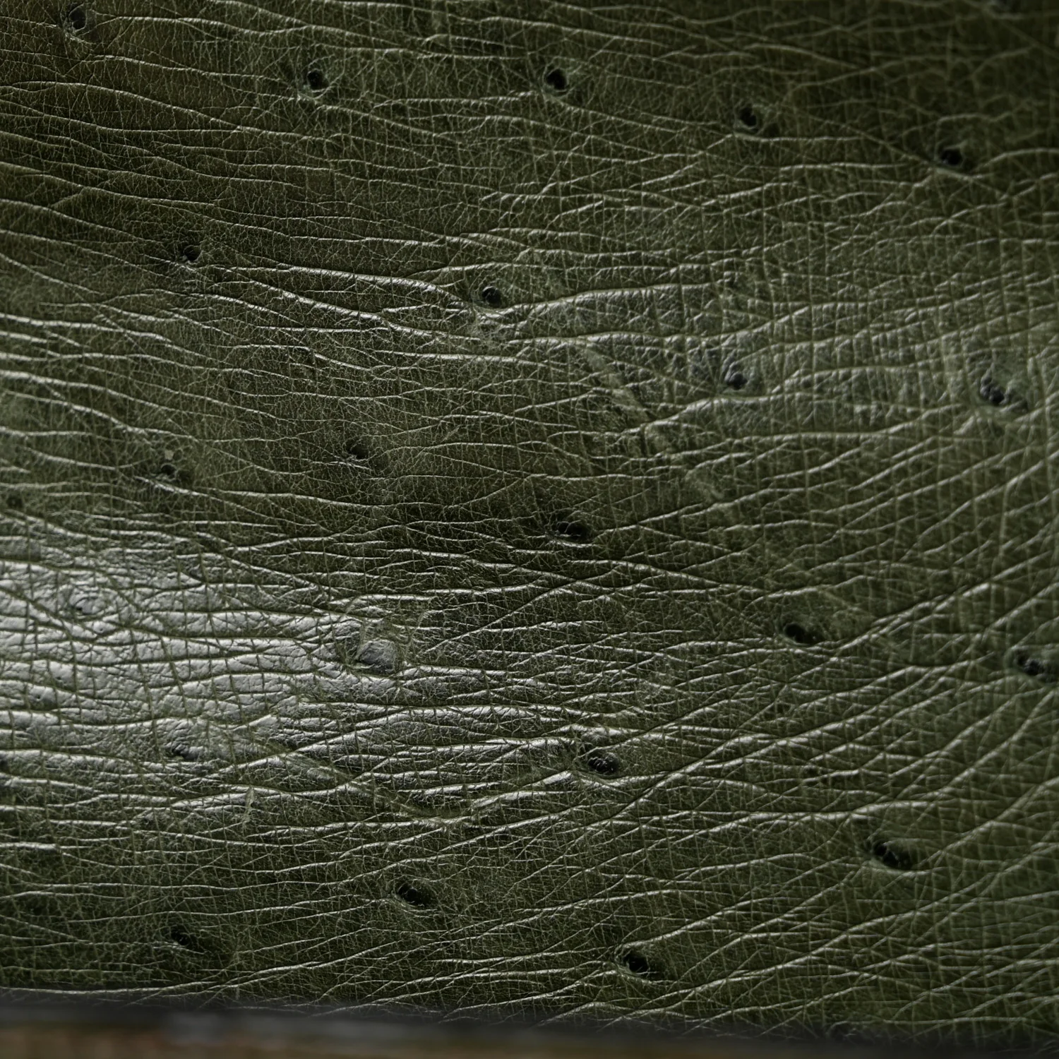 Ostrich Kelly Sellier 32 Vert Olive
