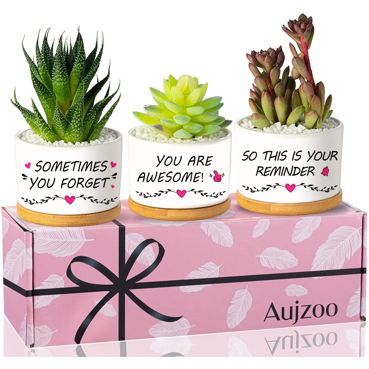 Aujzoo Inspirational Gifts for Women, You Are Awesome, Birthday Gift for Grandma Mom Sister Friend, Garden Decor Planter Succulent Pots