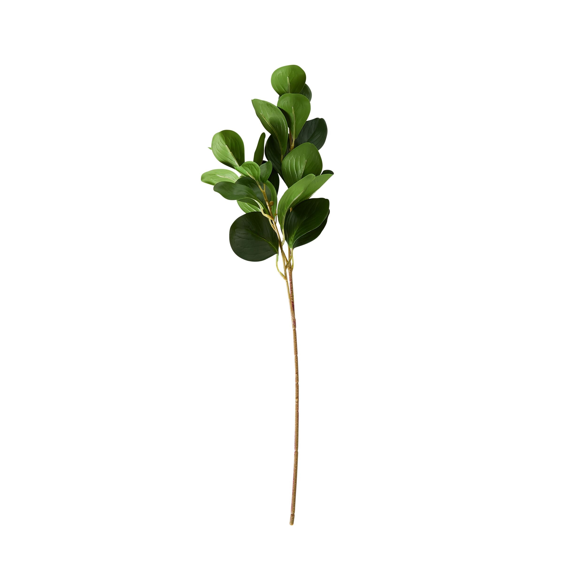 Bloomery Ficus Leaf Stem 68cm