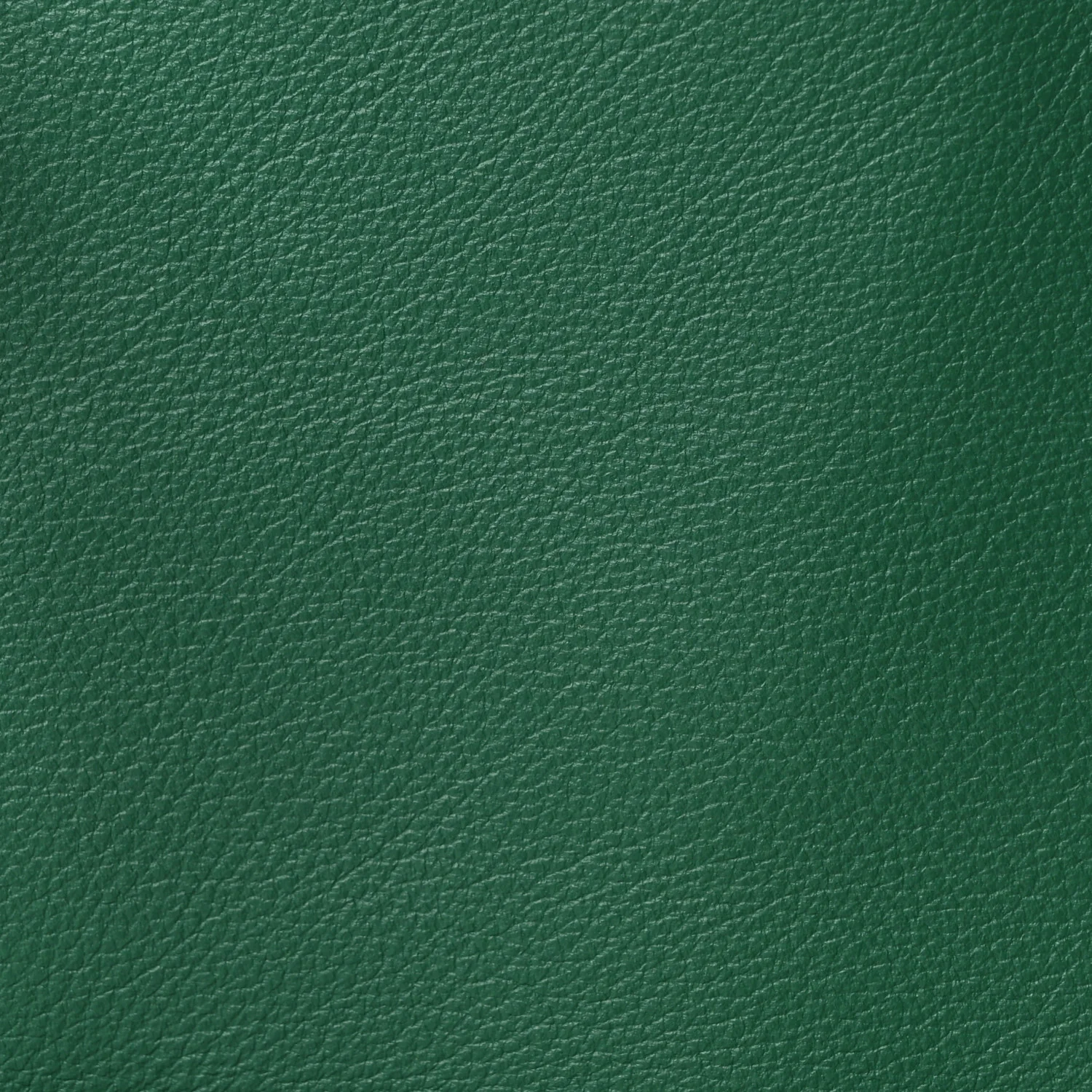 Goyardine Reversible Mini Anjou Green
