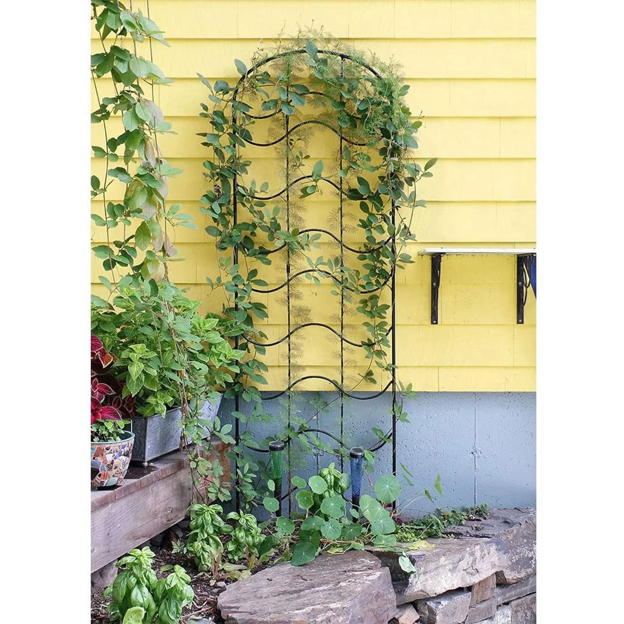 Achla Designs FT-16 77 In Waves Wrought Iron Garden Lattice Trellis, Black