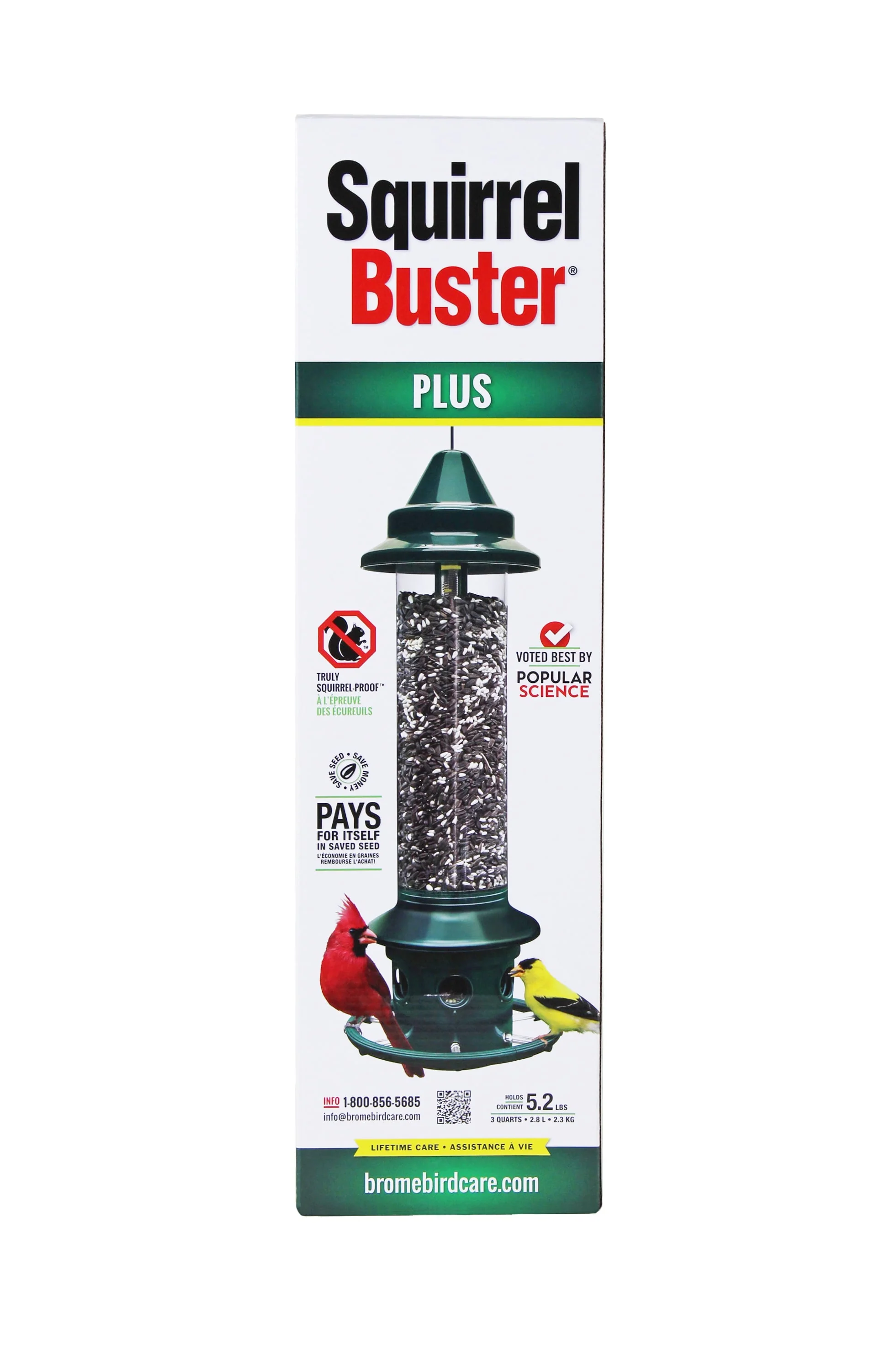 Squirrel Buster Plus Bird Feeder with Cardinal Perch Ring, Squirrel Proof - Image 4