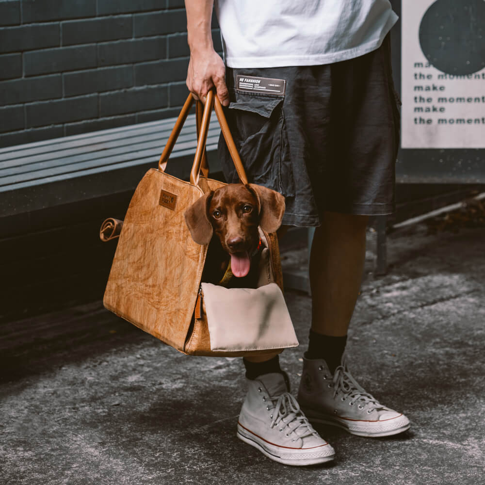 Vogue Eco-friendly Multi-functional Cat&Dog Carrier Pet Travel Bag - City Roamer