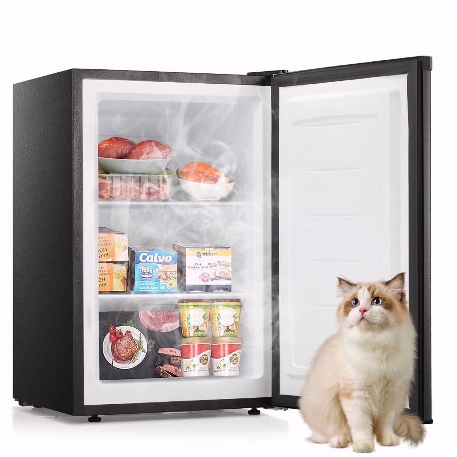 3.2Cu.ft Upright Freezer, Compact Freezer with Removable Shelves, Adjustable Thermostat for Home/Kitchen/Office, Black(Black)