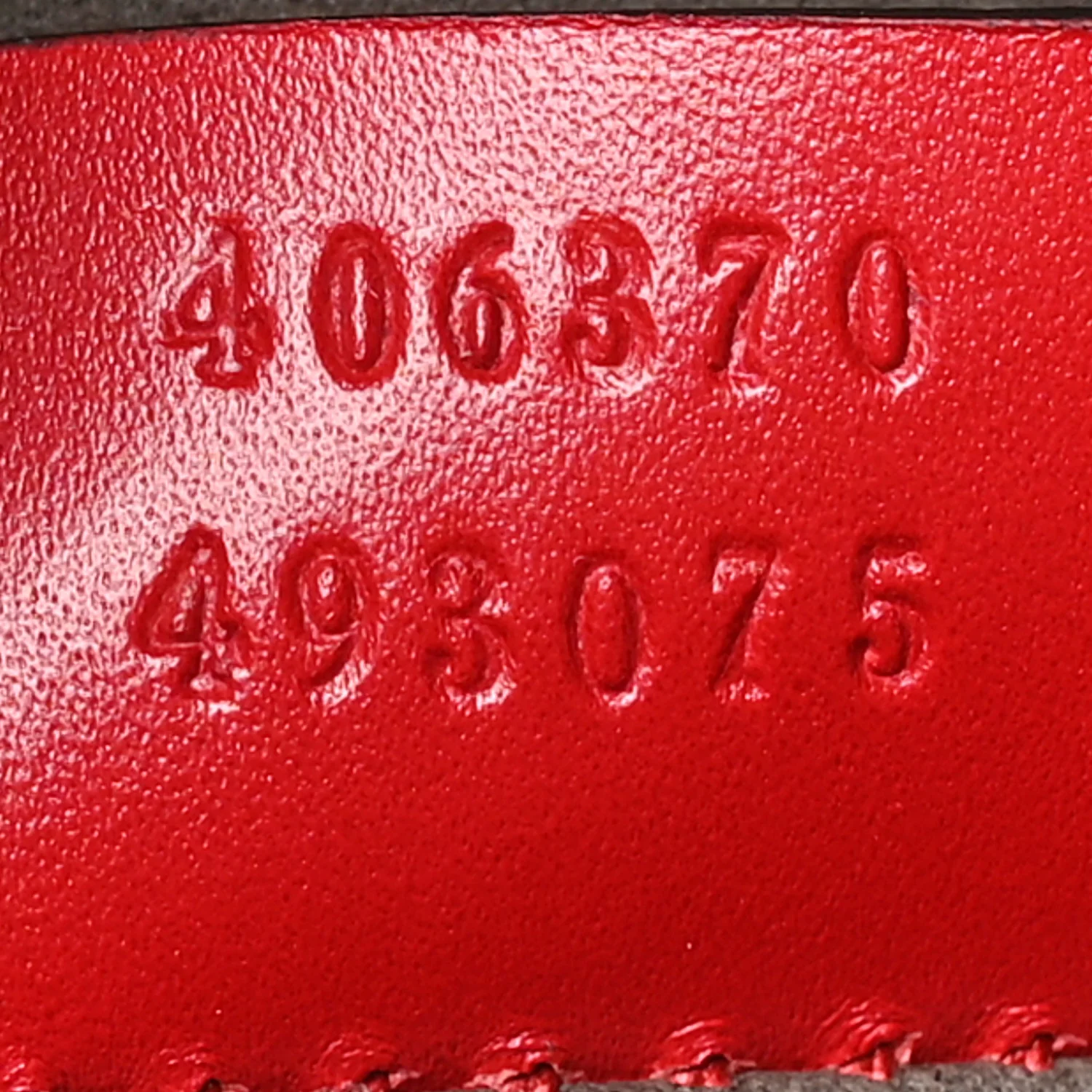 Guccissima Signature Day Backpack Hibiscus Red