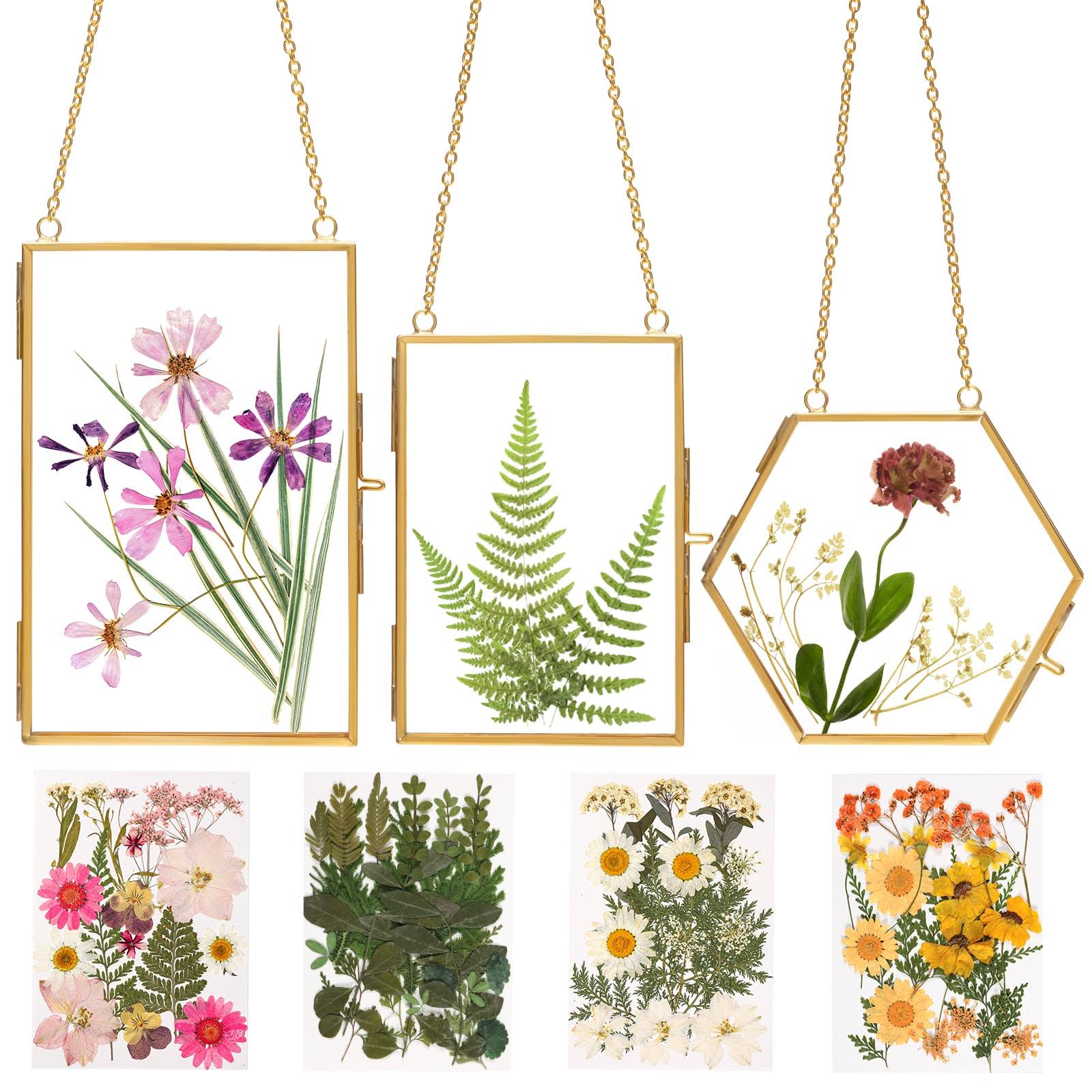 Relaxing Garden Double Glass Frame for Pressed Flowers - w/Real Dried Flowers and Tweezer for Handicrafts, Photo, or Other Small Flat Items
